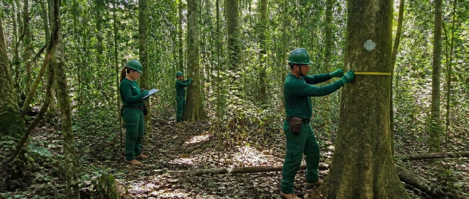 Inventário Florestal — VP Eco